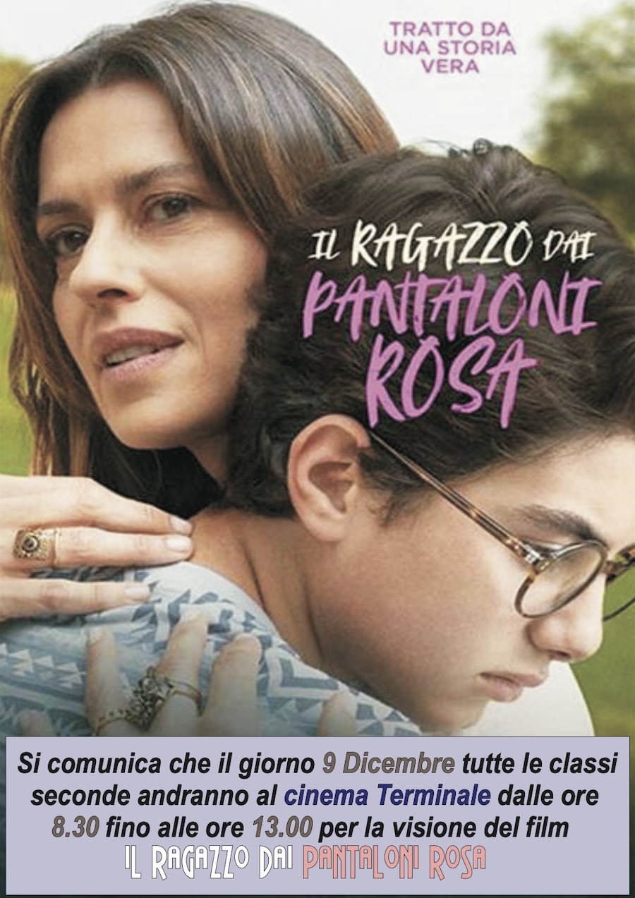 Locandina Il ragazzo dai pantaloni rosa